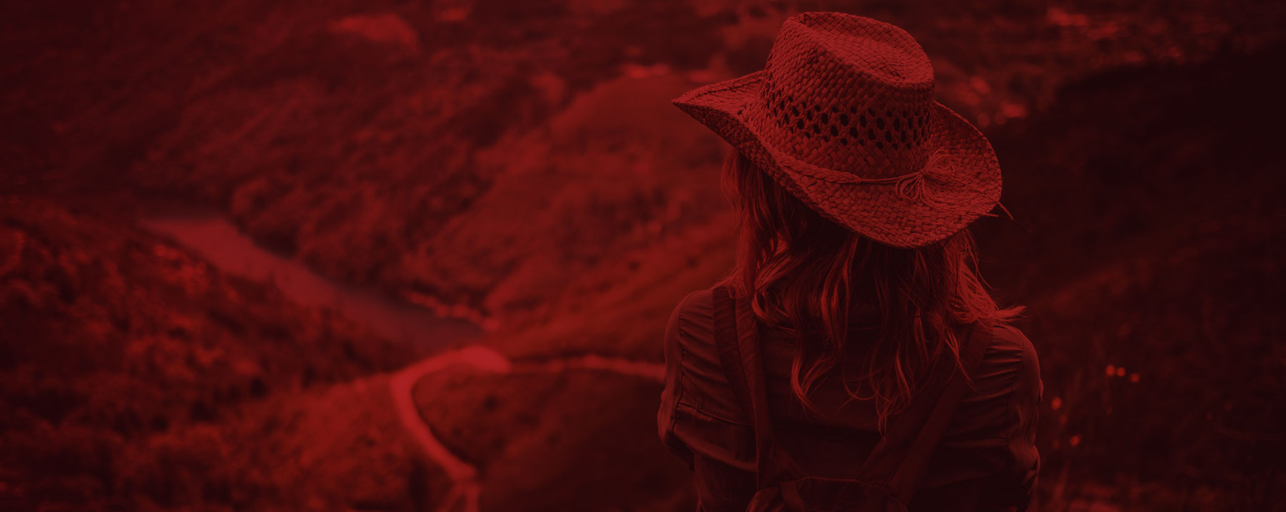 Phasellus ultrices nulla quis